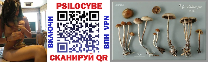 Псилоцибиновые грибы MAGIC MUSHROOMS  блэк спрут tor  Фатеж 